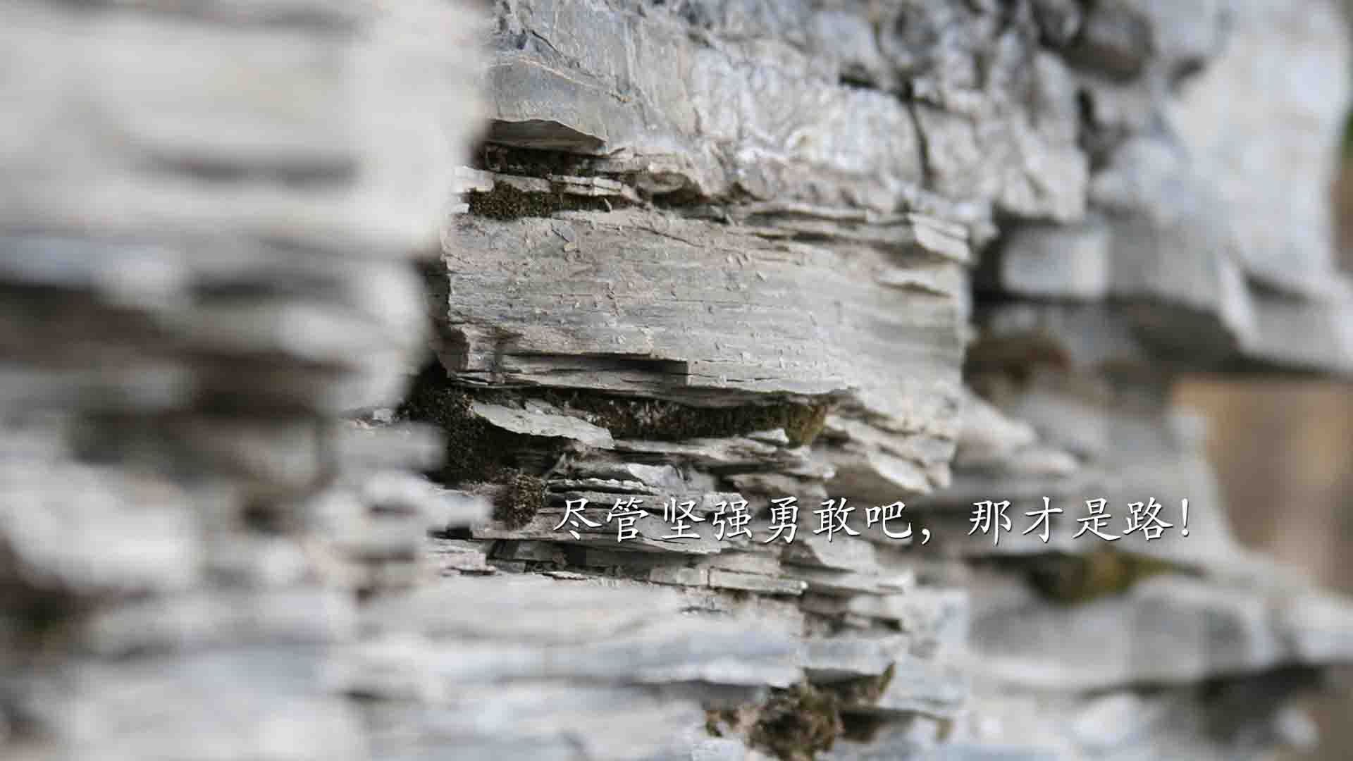 爱游戏下载-【职业生涯】丁俊晖的训练技巧：从青训到世界一流，丁俊晖教程
