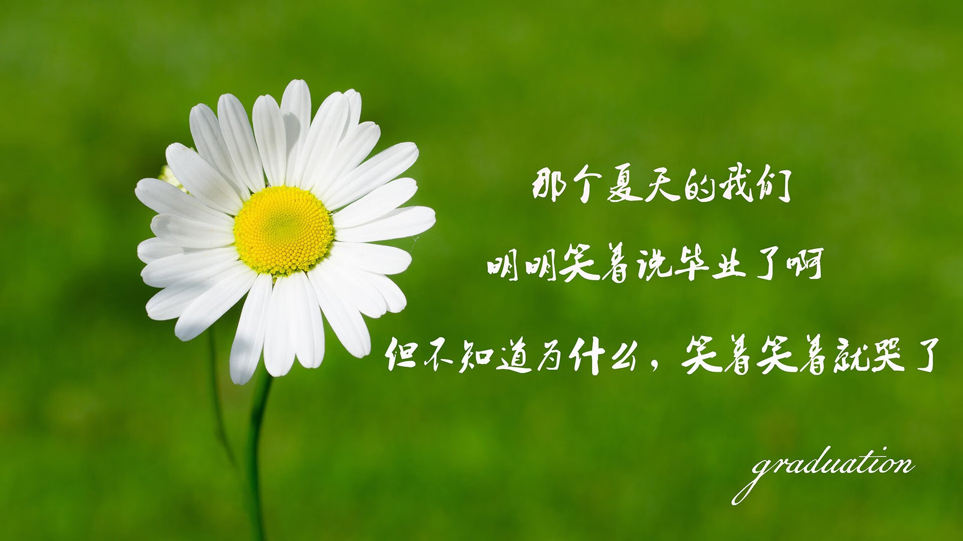 爱游戏娱乐平台-区块链交易：让所有交易更透明、更可信，区块链的交易