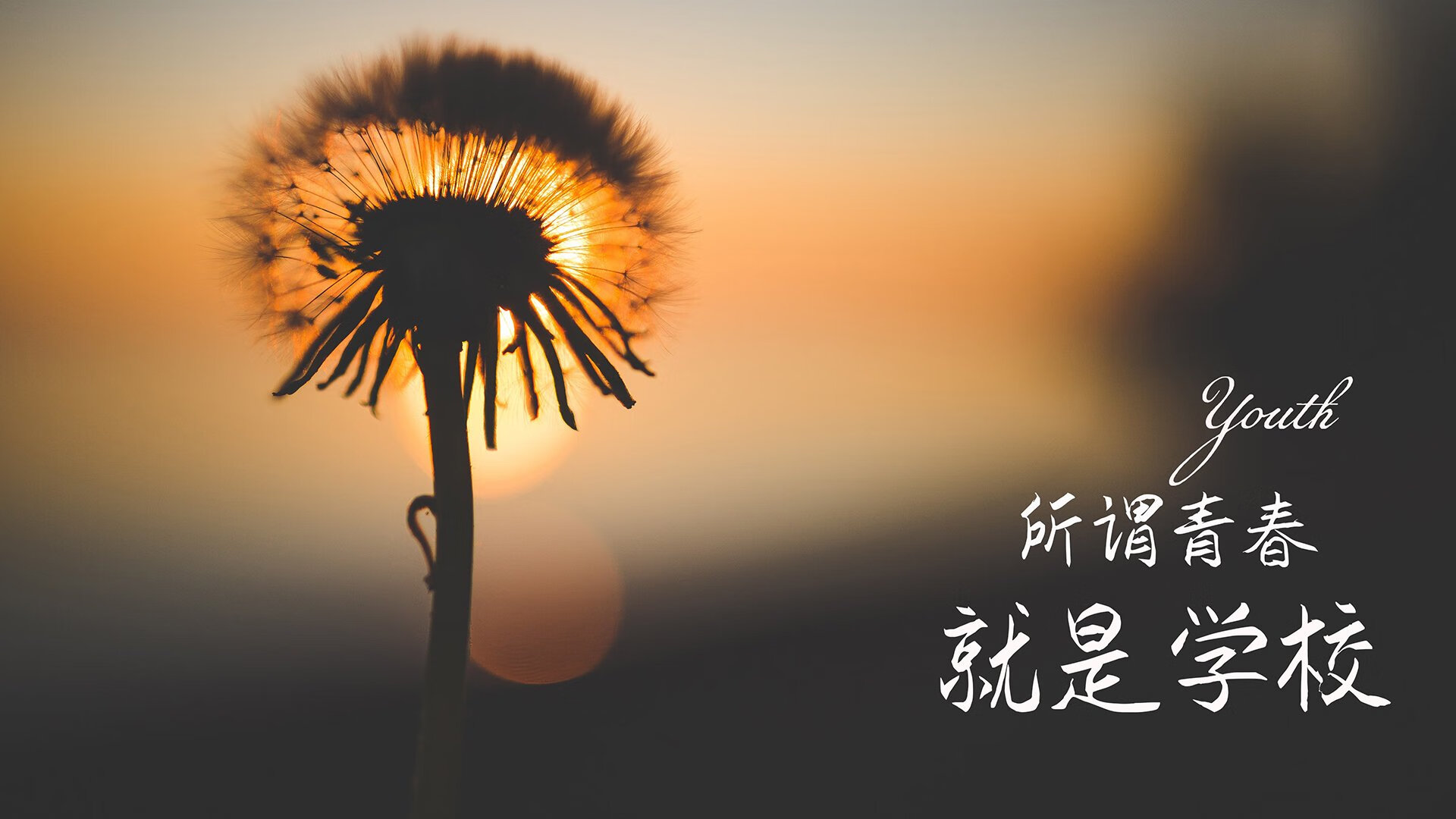 AYX体育-BLG参与制定电竞体育运动安全标准，国家体育总局对电竞行业的文件