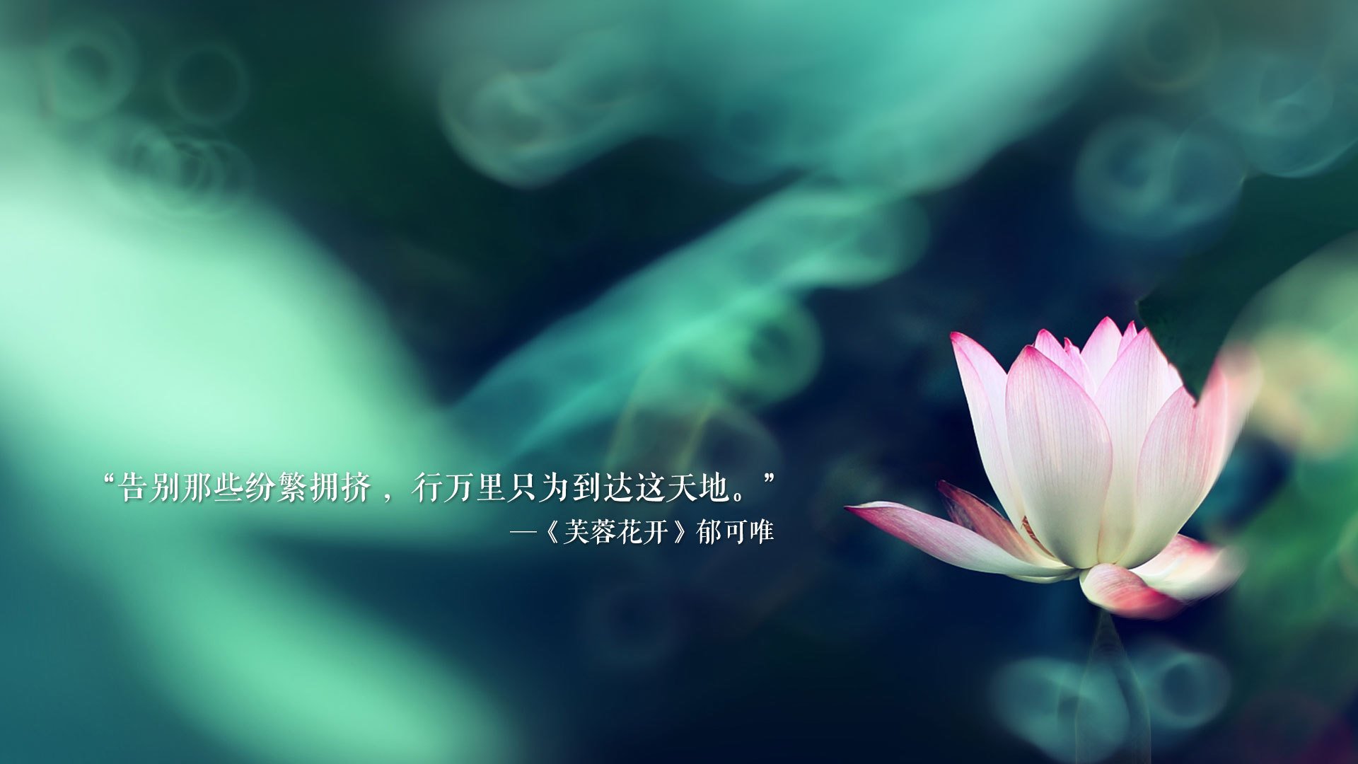 乌克兰队客场战胜立陶宛，积分榜次席，乌克兰主队