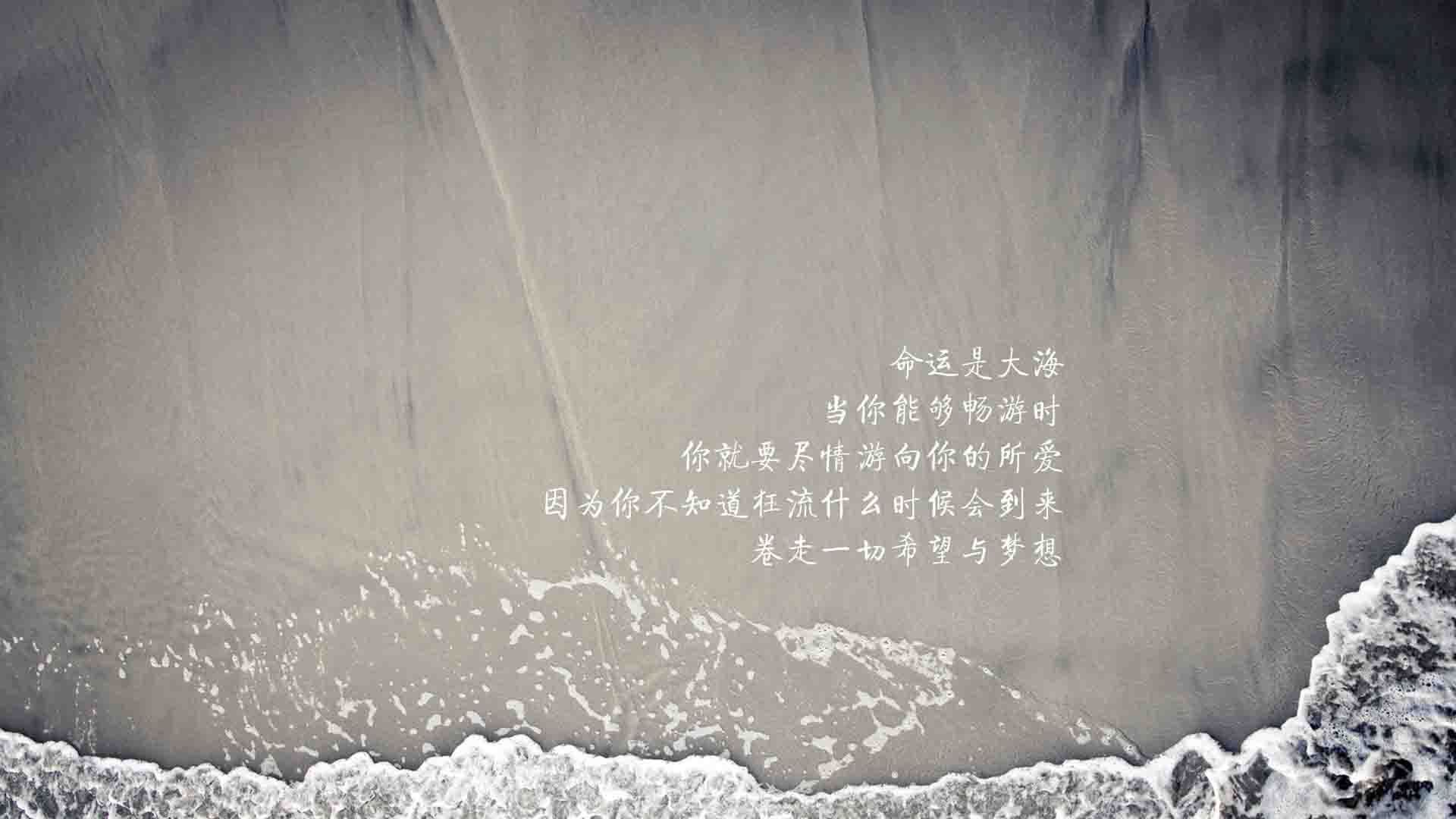 凯尔特人球队替补阵容贡献显著，凯尔特人队怎么样
