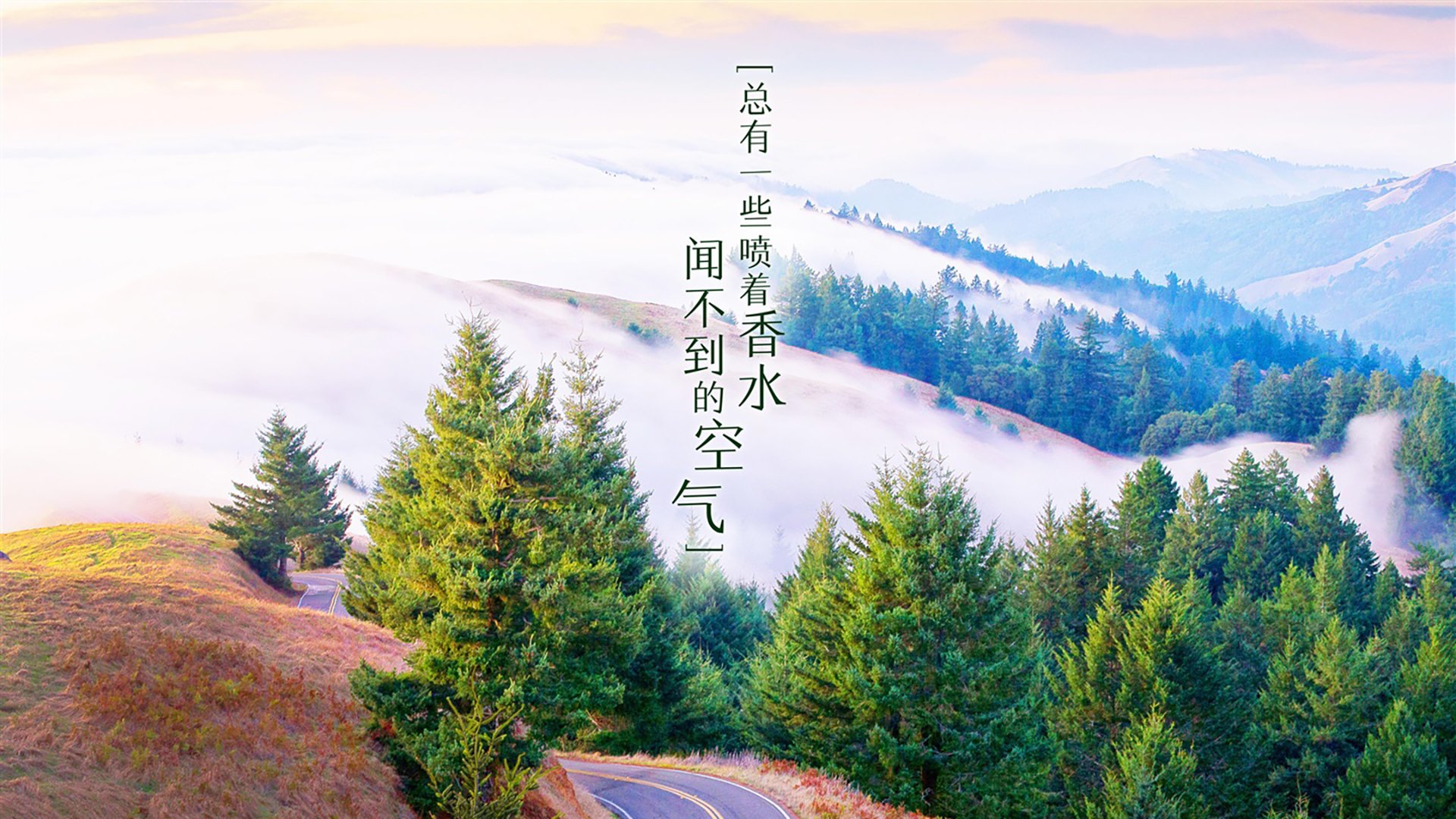 圣埃蒂安逆转蒙彼利埃，终结连败，圣埃蒂安战绩聚胜顽球汇